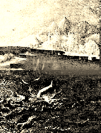 La chute